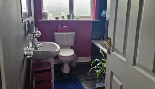  Séjour linguistique en famille d'accueil chez Carolina - Irlande - Dublin