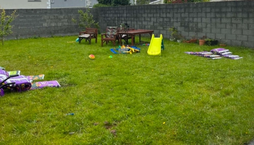  Séjour linguistique en famille d'accueil chez Henrikas - Irlande - Longford