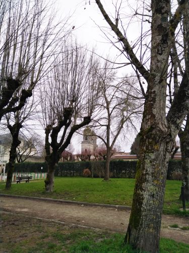  Estancia de inmersión lingüística en casa de Vivian - Francia - Cognac - 2