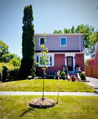  Séjour linguistique en famille d'accueil chez Edna - Canada - Toronto - 3