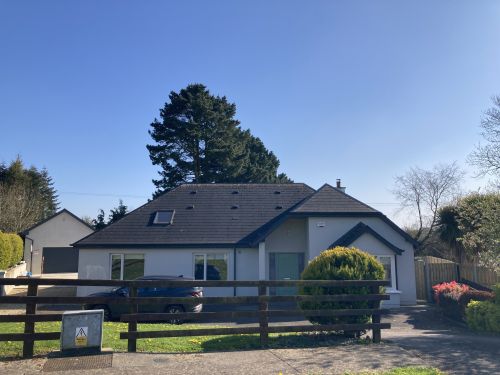  Language Immersion Stay at Karen - Ireland - Gorey - 2