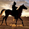 سالم