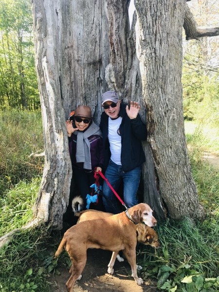  Séjour linguistique en famille d'accueil chez Dan - Canada - Toronto