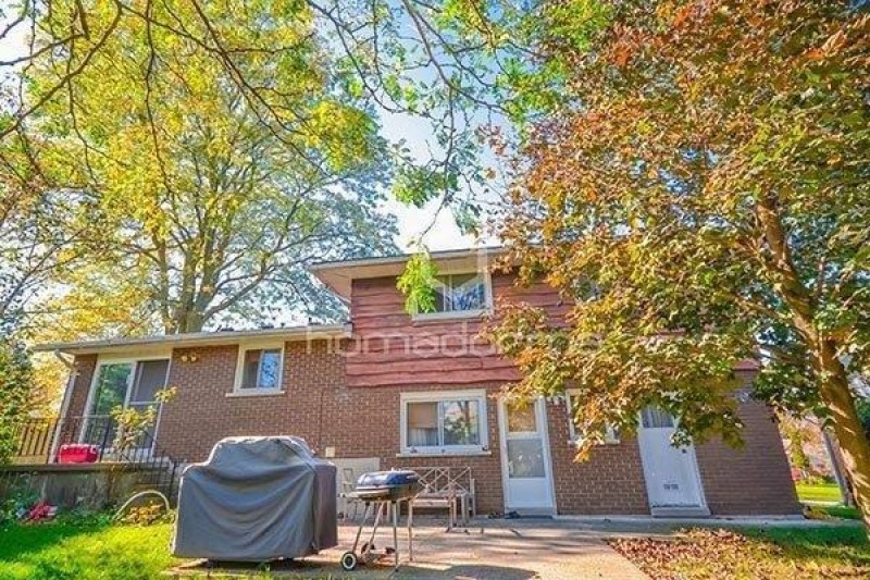  Estancia de inmersión lingüística en casa de Nicolae - Canadá - Toronto
